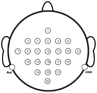 Design of virtual BCI channels based on informer